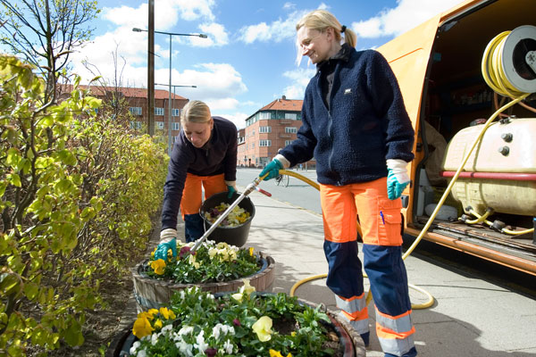 Gartnere i Esbjerg Kommune som passer sommerblomster